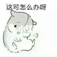 download aplikasi dingdong online Liu Hong ingat melihat Zhou Xuan berpakaian seperti anjing hari itu.
